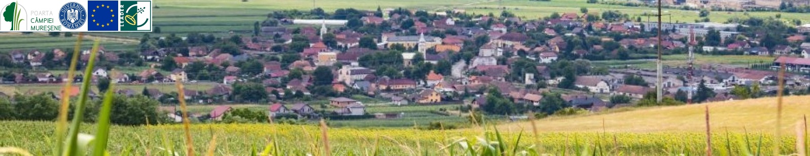 Home